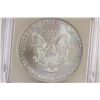 Image 2 : 2004 AMERICAN SILVER EAGLE ICG MS69