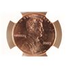 Image 2 : 2009 FORMATIVE YEARS LINCOLN CENT NGC MS66RD