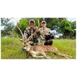 3 Day White Tail Deer and Exotic Hunt in Texas.