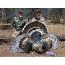 4 Days, 3 nights Gould’s Turkey Hunt in Mexico for 2 Hunters