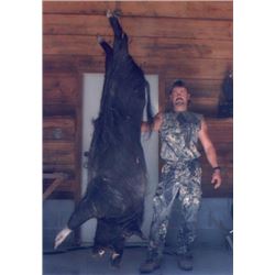 Wild Boar Hunt for up to 4 hunters on Florida’s Gulf Coast.