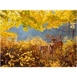 “The Legend” By John  Banovich