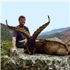 Image 1 : 5 Day Big Game Hunt in Spain for One Hunter & One Non-Hunter
