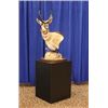 Image 4 : Taxidermy Gift Certificate from the New Mexico Taxidermy Association