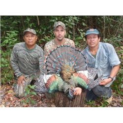 7 Days Mexican Campeche Jungle Hunt for Three Species for 2 Hunters.