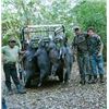 Image 4 : 7 Days Mexican Campeche Jungle Hunt for Three Species for 2 Hunters.