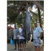 Image 1 : 6 Nights / 5 Days Belize Fishing and Diving Adventure for 2 People