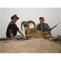 7 Day Big Game Hunt for 2 Hunters in Argentina.