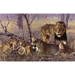 “Bahati Ya Kawinda” by John Banovich