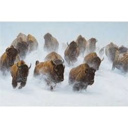 “Silent Thunder” by John Banovich