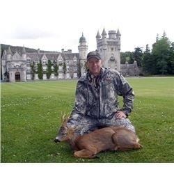 7 Day Red Stag Hunt in Scottland