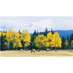 “Echoes in Gold” by John Banovich