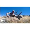 Image 2 : 5 Day Coues Whitetail Deer Hunt in Chihuahua, Mexico.