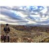 Image 4 : 5 Day Coues Whitetail Deer Hunt in Chihuahua, Mexico.