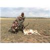 Image 2 : New Mexico Youth Antelope Hunt.
