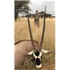 Image 2 : 7 Day Sable, Gemsbuck, Blesbuck, Impala Hunt in South Africa for 1 Hunter