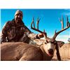 Image 1 : 5 Day Trophy Mule Deer Hunt Unit in 17 New Mexico for 1 Hunter