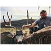 Image 2 : 5 Day Trophy Mule Deer Hunt Unit in 17 New Mexico for 1 Hunter