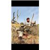 Image 3 : 5 Day Trophy Mule Deer Hunt Unit in 17 New Mexico for 1 Hunter