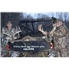 Image 1 : Ohio White-tailed Deer Hunt for 2 Hunters