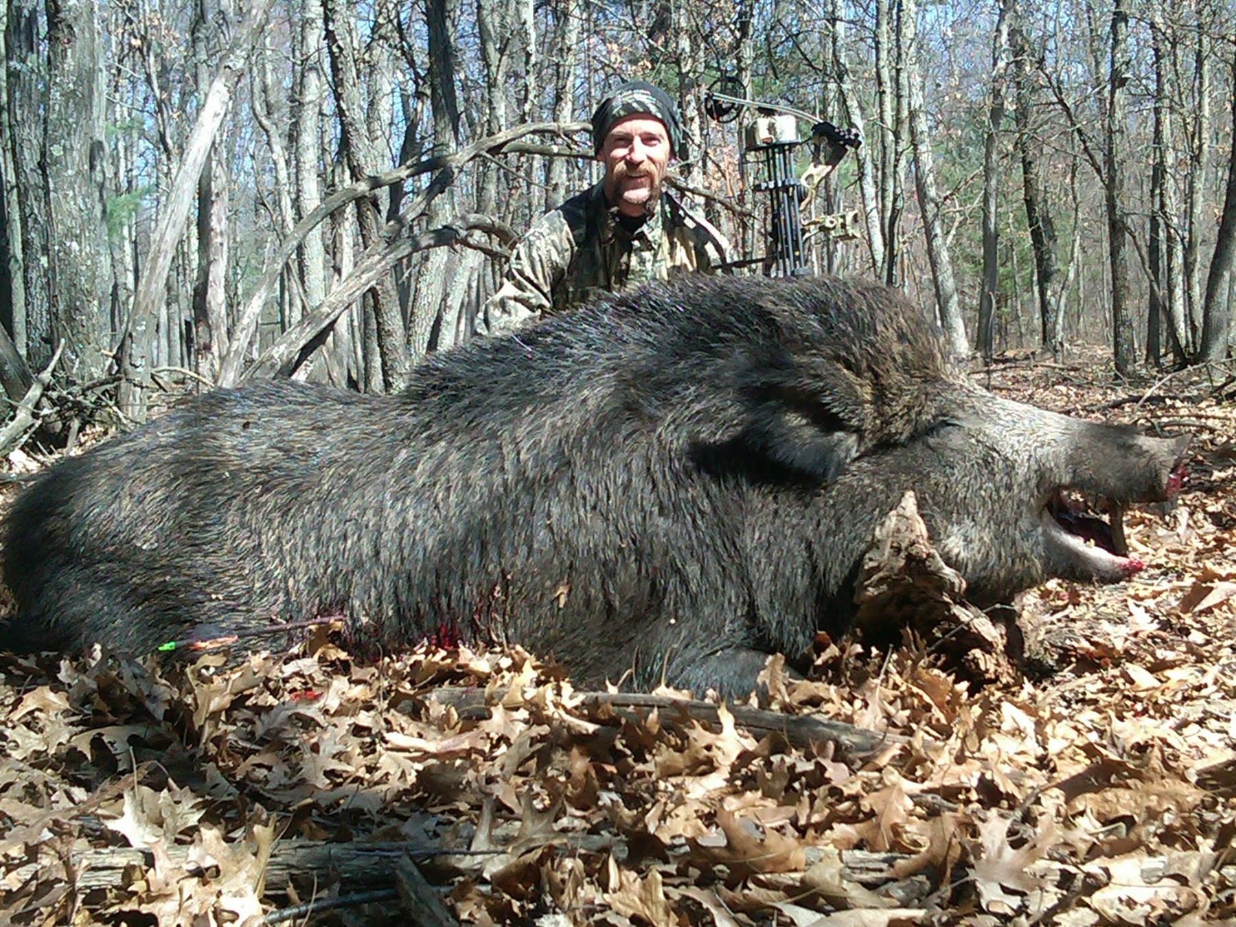 Michigan Upper Peninsula Boar Hunt