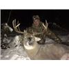 Image 1 : Alberta – 5 Day – Whitetail Deer Hunt for One Hunter