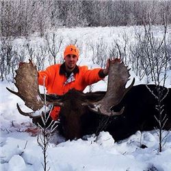 Alberta – 5 Day – Archery Rut Moose Hunt for One Hunter
