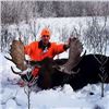 Image 1 : Alberta – 5 Day – Archery Rut Moose Hunt for One Hunter