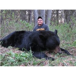 Alberta – 6 Day – Black Bear Hunt for One Person