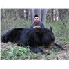 Image 1 : Alberta – 6 Day – Black Bear Hunt for One Person