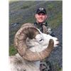 Image 3 : Grand Slam – Four North American Wild Sheep for One Hunter