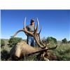 Image 1 : *New Mexico – 5 Day – Archery Rocky Mountain Elk Hunt for One Hunter
