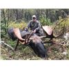 Image 1 : *Alberta – 6 Day – Rut Moose Hunt for One Hunter