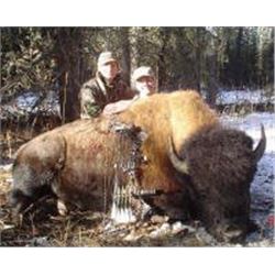 British Columbia – 10 Day- Hunter’s Choice - Bison, Elk, or Mt. Goat Hunt One