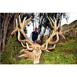 New Zealand – 4 Day – Red Stag Hunt for Two Hunters