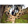 Image 1 : New Zealand – 4 Day – Red Stag Hunt for Two Hunters