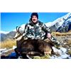Image 3 : New Zealand – 4 Day – Red Stag Hunt for Two Hunters