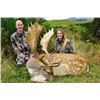 Image 4 : New Zealand – 4 Day – Red Stag Hunt for Two Hunters