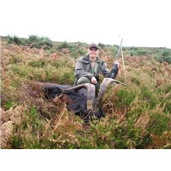 *Ireland – 3 Day/4Nights – Ibex Hunt for One Hunter