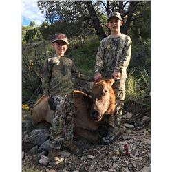 *New Mexico – 5 Day – Cow Elk Hunt for One Youth Hunter
