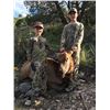 Image 1 : *New Mexico – 5 Day – Cow Elk Hunt for One Youth Hunter