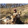 Image 1 : *Kansas – 4 Day Rifle or 5 Day Archery Whitetail Deer Hunt for One Hunter