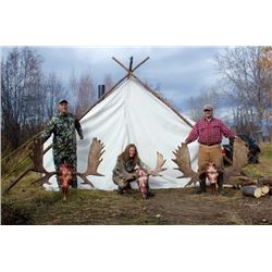 Alberta – Rut Moose Hunt for One Hunter