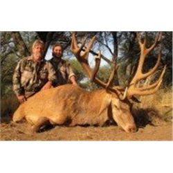 *Argentina – 5 Day – Red Stag, Black Buck and Dorset Ram for Three Hunters