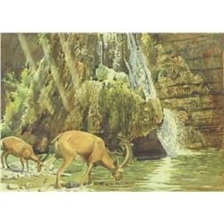 Eric Anthony Smit (1939-2016), deer drinking in nature with waterfall in the background of En Gedi