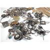 Image 2 : Collection of different silver jewels