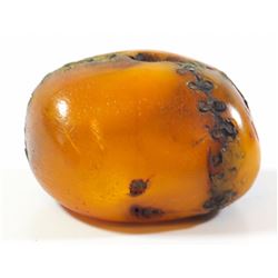 Special! Antique African Trade Bead amber, Mali