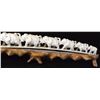 Image 3 : Elephants and a lion walking in a line, old quality ivory carving