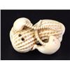 Image 3 : Ivory netsuke, mice on a cornob