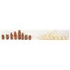 Image 1 : Set of old bone chess pawns